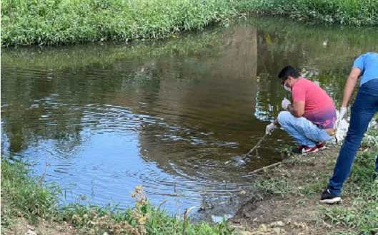 Rio Verruga tem mais de 100 mil peixes mortos entre Conquista e Itambé