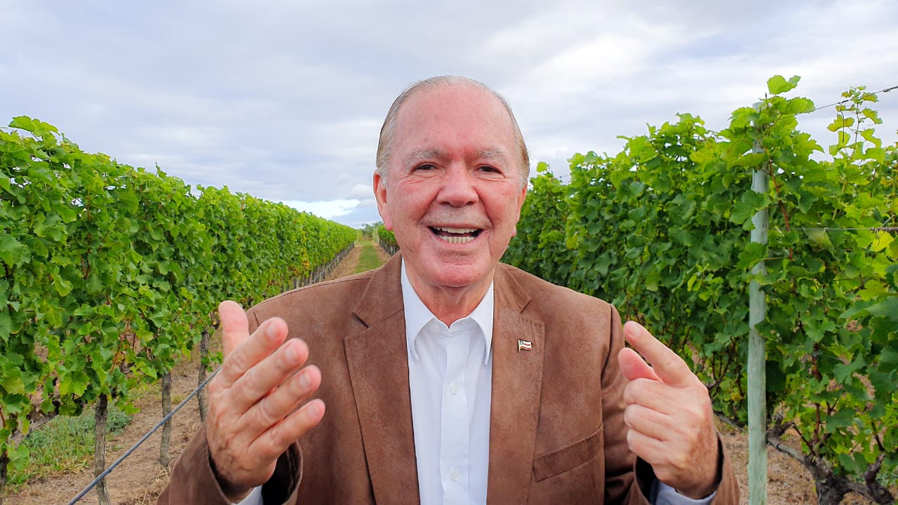 “Vinícola UVVA traz força para a viticultura baiana”, diz João Leão