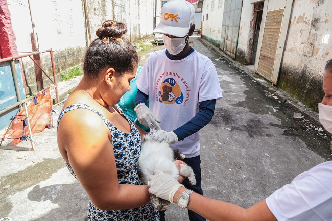 Ações volantes auxiliam na vacinação de cães e gatos em Salvador