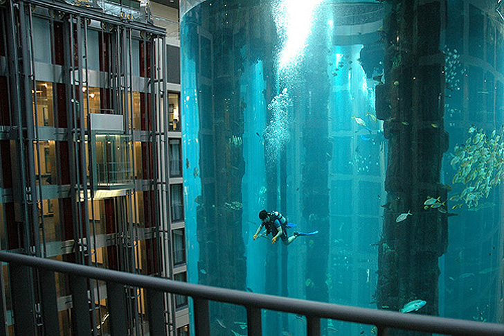 Maior aquário cilíndrico do mundo explode em hotel na Alemanha