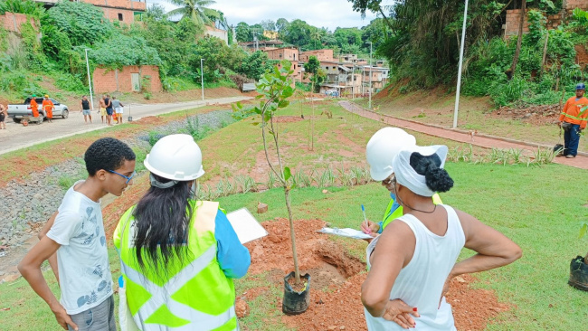 Novo Mané Dendê realiza plantio de mais de 200 mudas de árvores no Subúrbio de Salvador