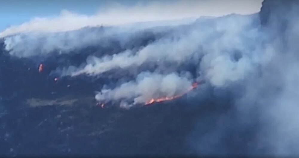 Incêndios florestais na Bahia atingem regiões Oeste, Norte e Chapada Diamantina