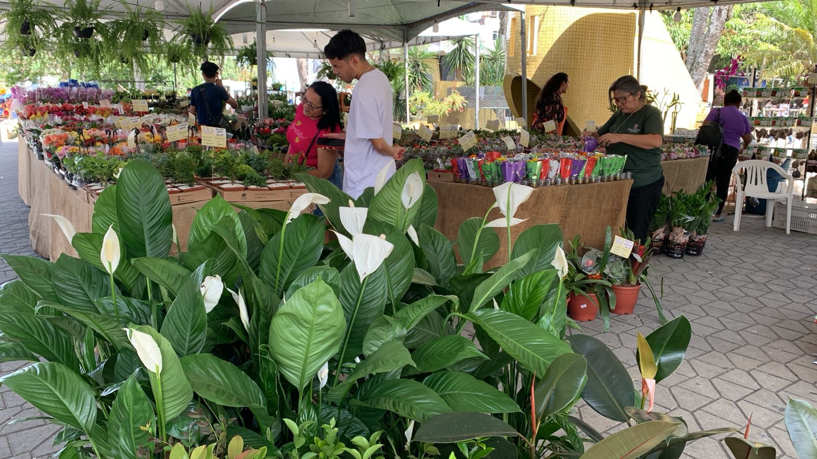 Lauro: Abertura da Feira das Flores em Vilas do Atlântico terá horário especial