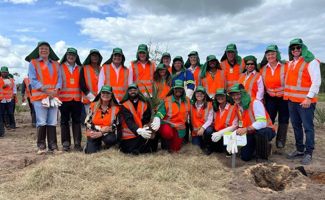 Cachoeira tem 1a fazenda-modelo do País para produção de combustível sustentável de aviação e diesel renovável