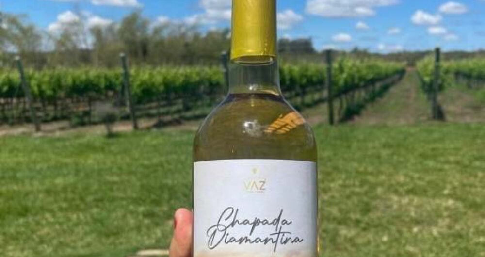 Rota do Vinho da Chapada Diamantina desperta interesse de profissionais do turismo no PR e SP