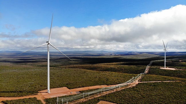 Dia Mundial dos Ventos: Bahia celebra a data como referência nacional em energia eólica