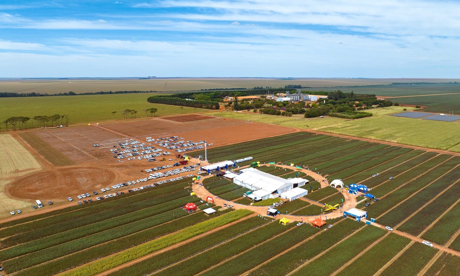 Agro: G.A.Tec Algodão 2025 promove imersão no futuro do algodão brasileiro