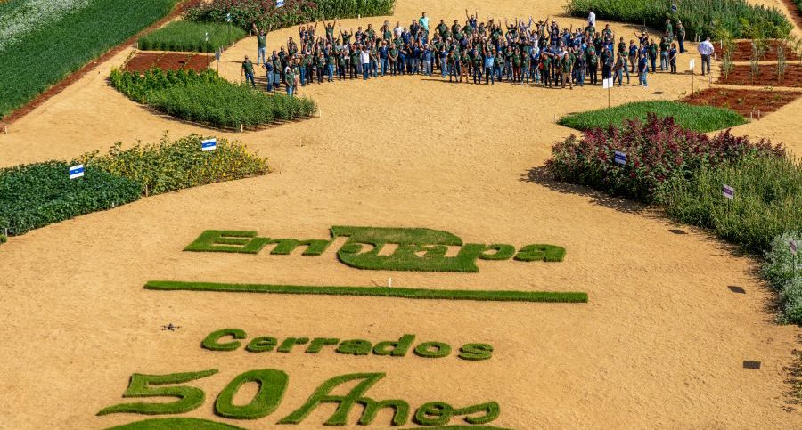 Vitrine Tecnológica celebra os 50 anos da Embrapa Cerrados