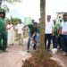 Corredor Verde: Prefeitura inicia novo programa de arborização em Salvador