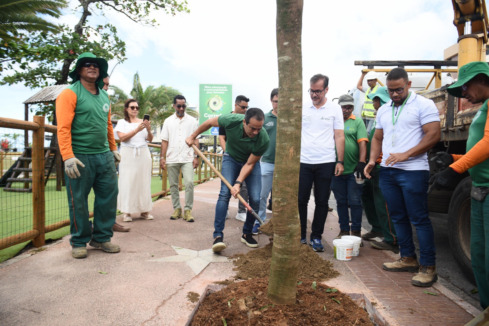 Corredor Verde: Prefeitura inicia novo programa de arborização em Salvador