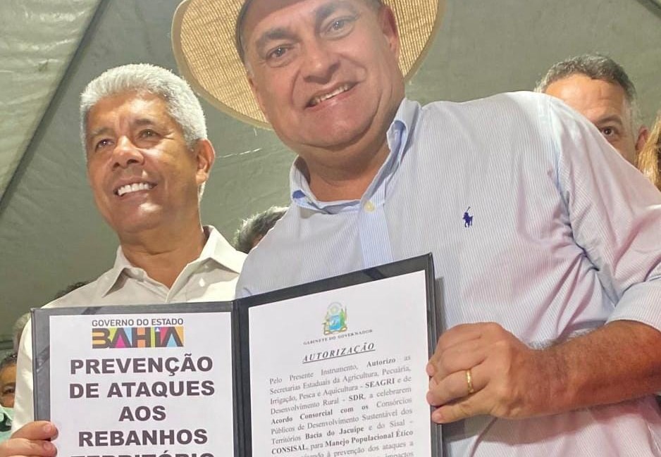 Após ação de Luciano Araujo, Jerônimo Rodrigues lança projeto de controle populacional de cães no Semiárido