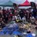 Prefeitura de Salvador apoia ação de limpeza submarina no Porto da Barra
