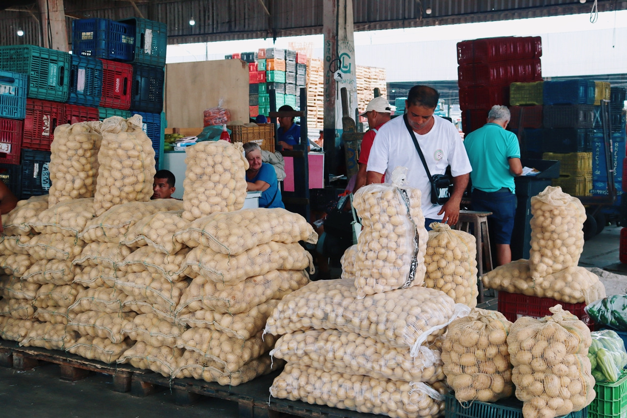 Proclamação da República: Mercados estaduais terão fechamento antecipado no feriado; Ceasa opera normalmente