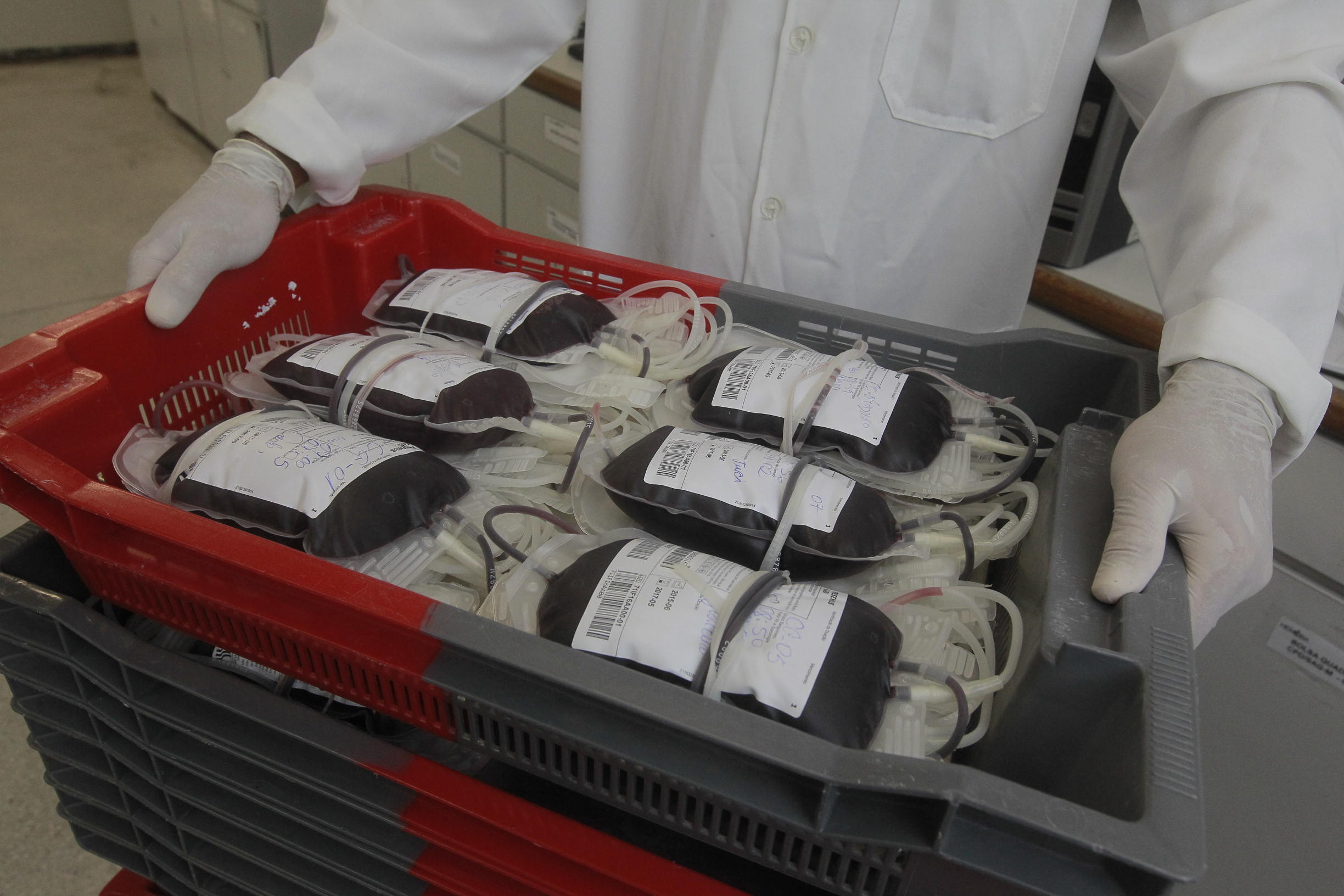 Campanha de Natal da Hemoba mobiliza doadores para reforçar estoque de sangue