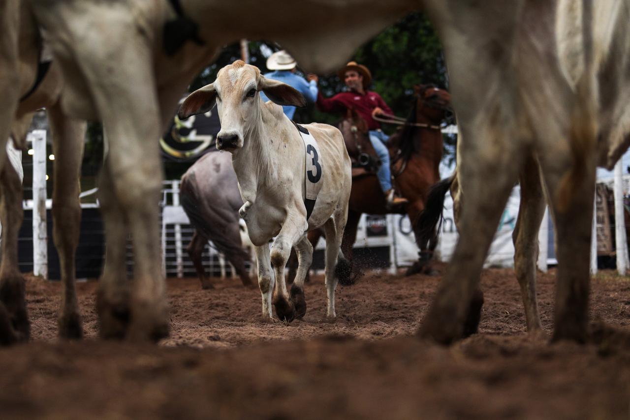 Fenagro 2025 celebra edição histórica com recorde de público