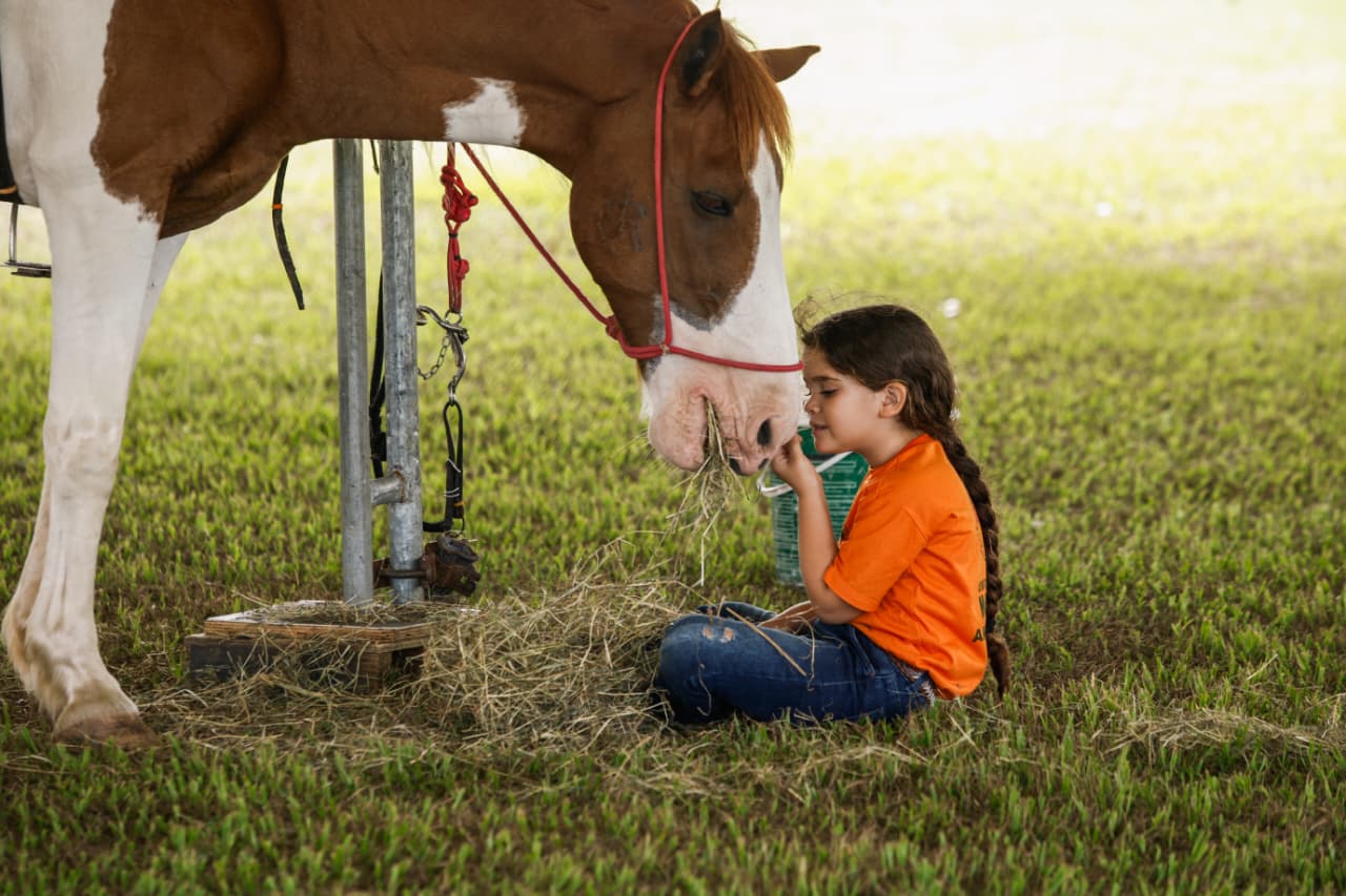 Fenagro 2025 abre semana com acesso gratuito com doação de 1 kg de alimento