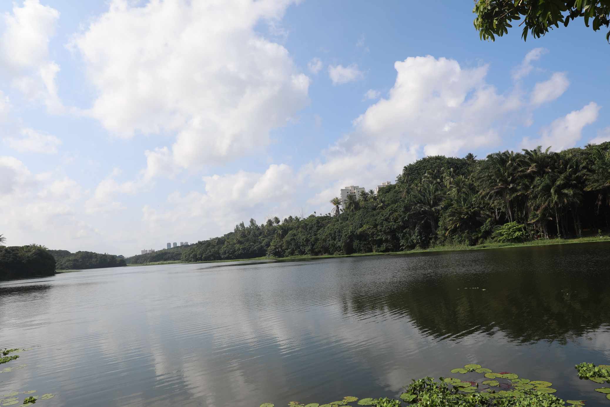 Inema abre chamamento público para novos espaços comerciais no Parque de Pituaçu
