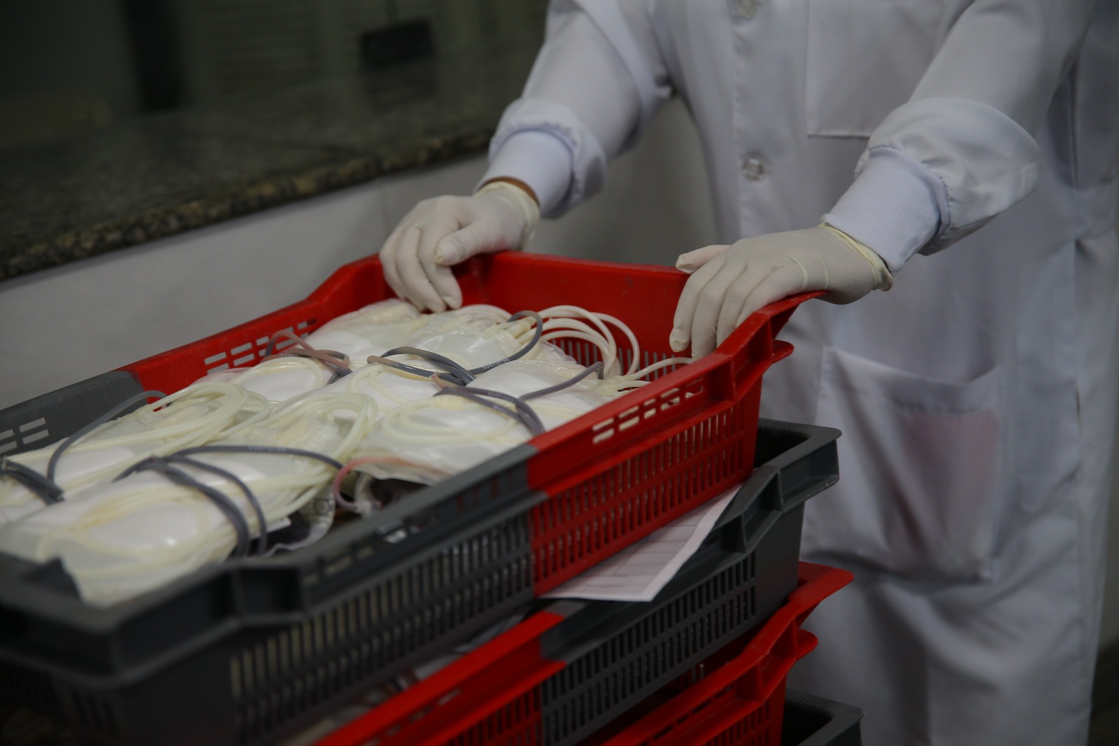 Hemoba alerta para estoques críticos neste início de ano e convoca doadores