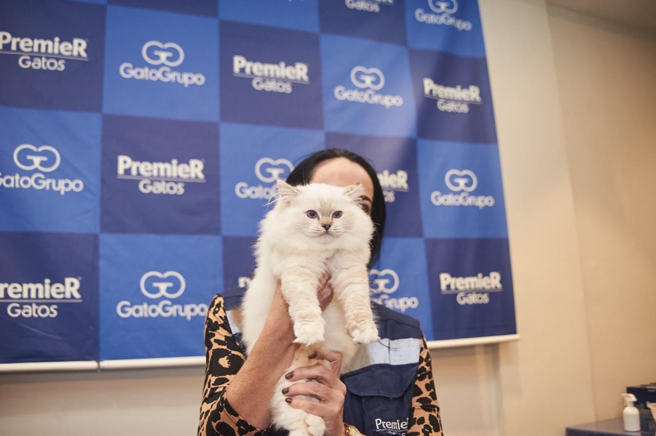 GatoGrupo promove experiência educativa sobre o universo felino em Lauro