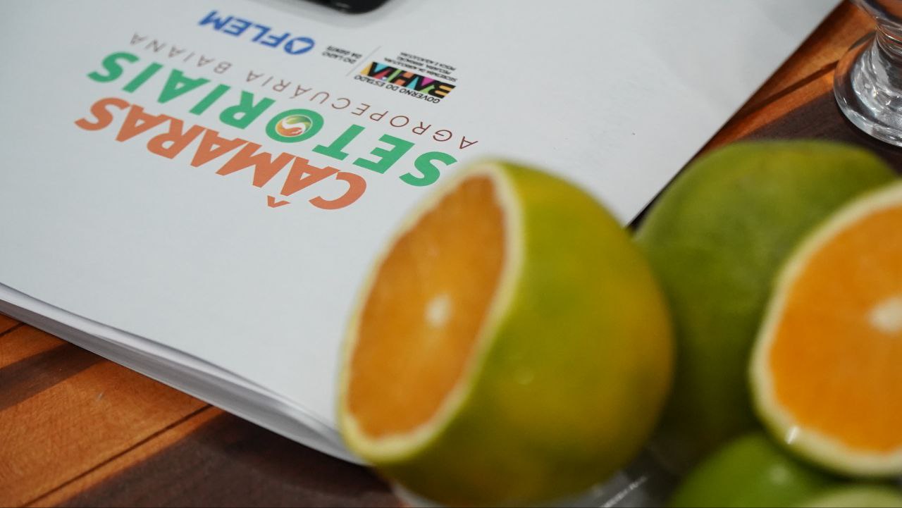 Câmaras Setoriais da SEAGRI: Cacau, sisal, dendê e citrus abrem o calendário 2026