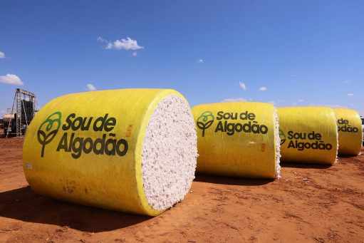 Agronegócio respondeu por 22,1% da economia baiana em 2025