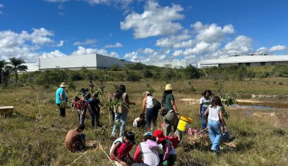 Camaçari: Sedur promove plantio de mudas em área de nascente do Rio Capivara