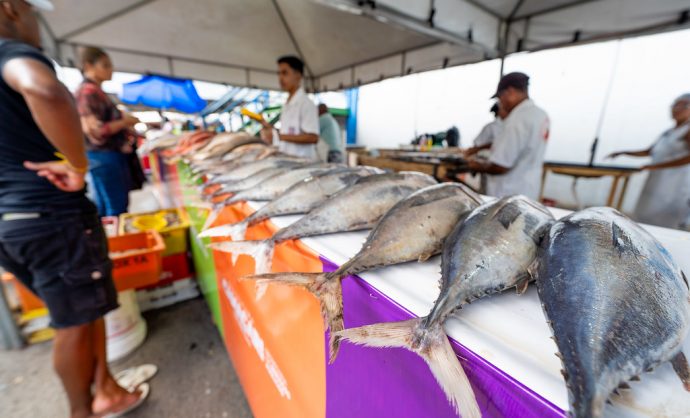 Feira do Peixe acontece em três dias no Centro Comercial de Camaçari