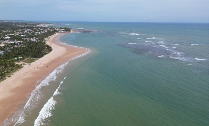 Prefeitura de Camaçari realiza ação de proteção a ninhos de tartarugas em Guarajuba