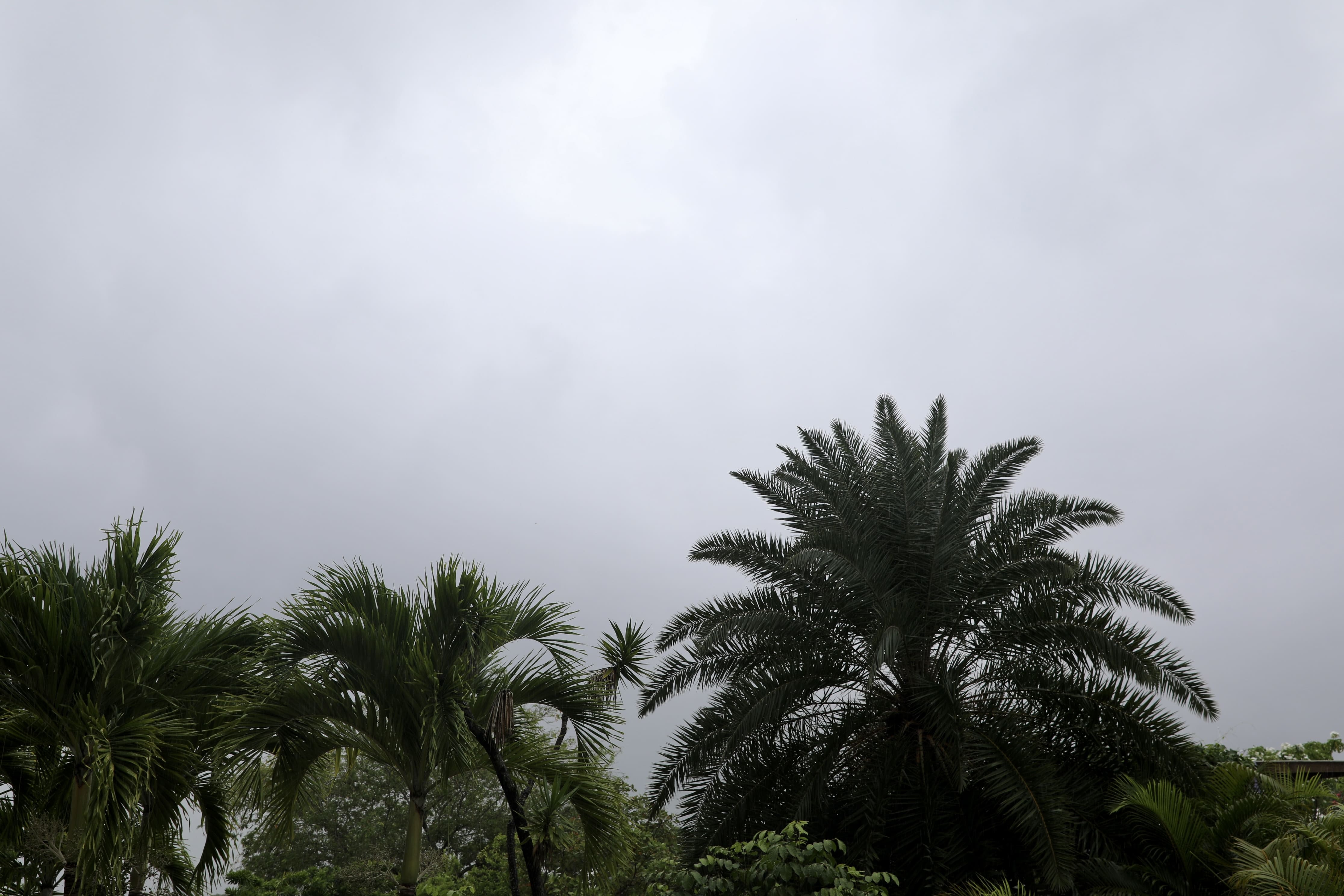 Recôncavo e Litoral Baiano seguem com risco de alagamentos e deslizamentos, alerta Inema