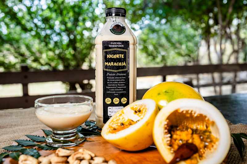 Após prêmios internacionais, marca baiana de laticínios investe em ampliação da produção