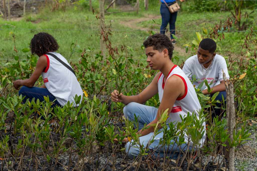 Estudantes de Lauro vivenciam aula de campo em manguezal no Recôncavo Baiano