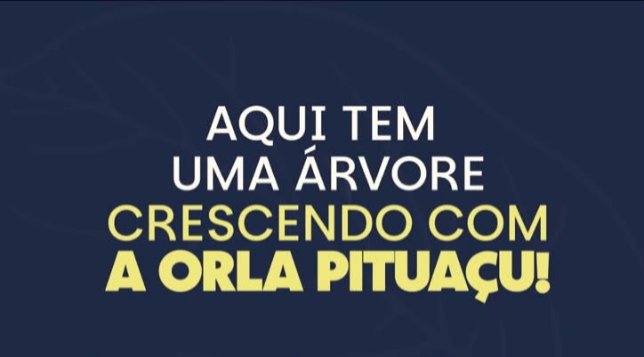Orla Brasil inicia plantio de 50 mudas de árvores ao longo do trecho da Orla de Pituaçu