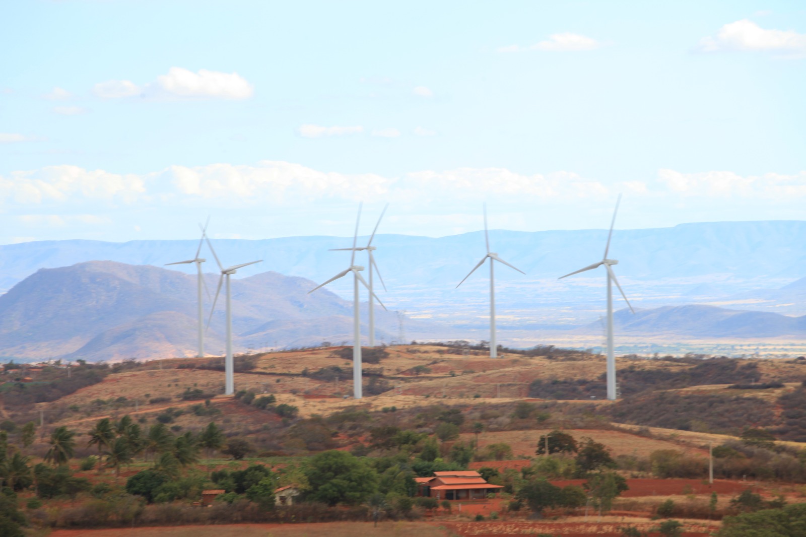 Dia Mundial do Vento: Bahia se destaca na liderança da geração de energia eólica