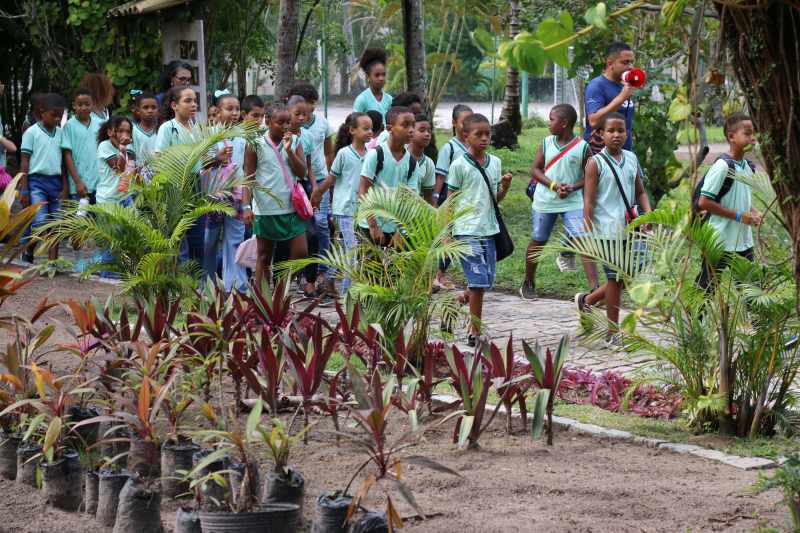 Direto da BTS: Village Itaparica terá programação especial na Semana do Meio Ambiente