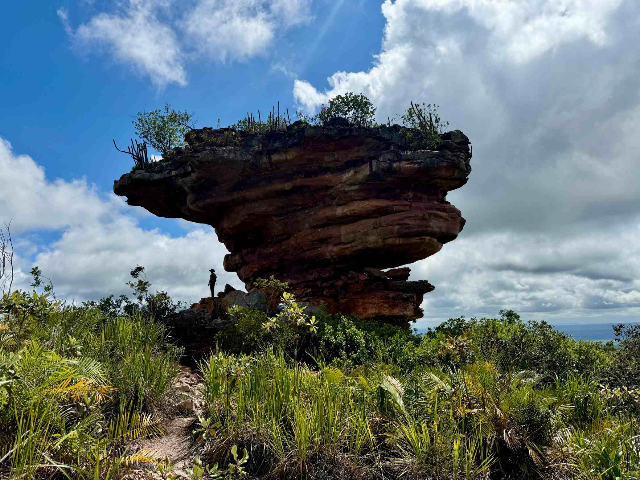 Junho Ambiental 2026: Governo entrega investimentos de cerca de R$49 milhões por todo o estado