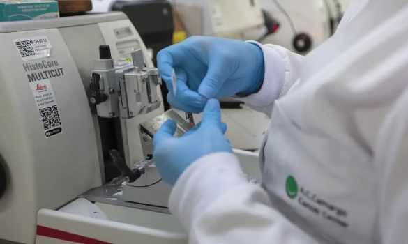 SUS inclui nova terapia para pacientes adultos com leucemia mieloide